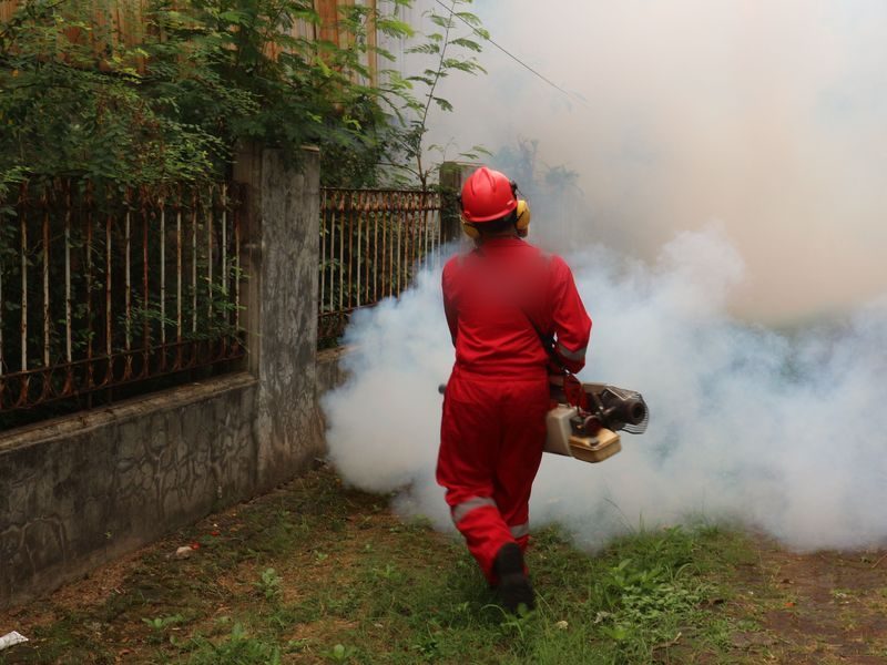 Pest control work